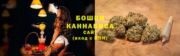 шишки Бронницы