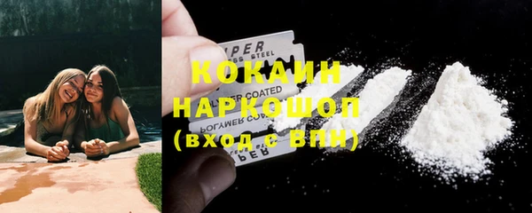 шишки Бронницы