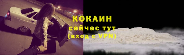 шишки Бронницы