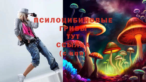 шишки Бронницы