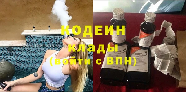 ГАЛЛЮЦИНОГЕННЫЕ ГРИБЫ Бородино