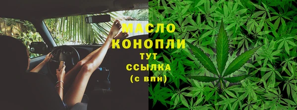 ГАЛЛЮЦИНОГЕННЫЕ ГРИБЫ Бородино