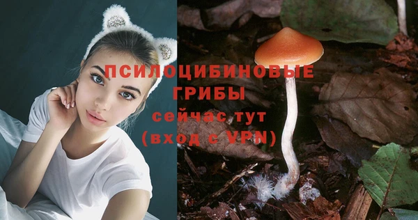 ГАЛЛЮЦИНОГЕННЫЕ ГРИБЫ Бородино