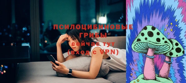 шишки Бронницы
