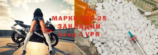 ГАЛЛЮЦИНОГЕННЫЕ ГРИБЫ Бородино