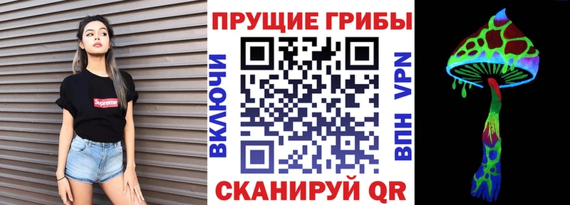 Псилоцибиновые грибы Cubensis  купить наркотики цена  Сосногорск 
